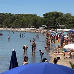 Petrovic
