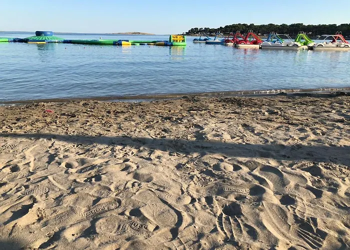 Petrovic Apartament *